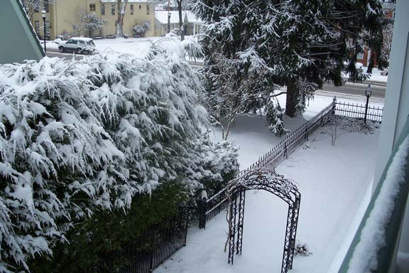 Back Yard in Snow